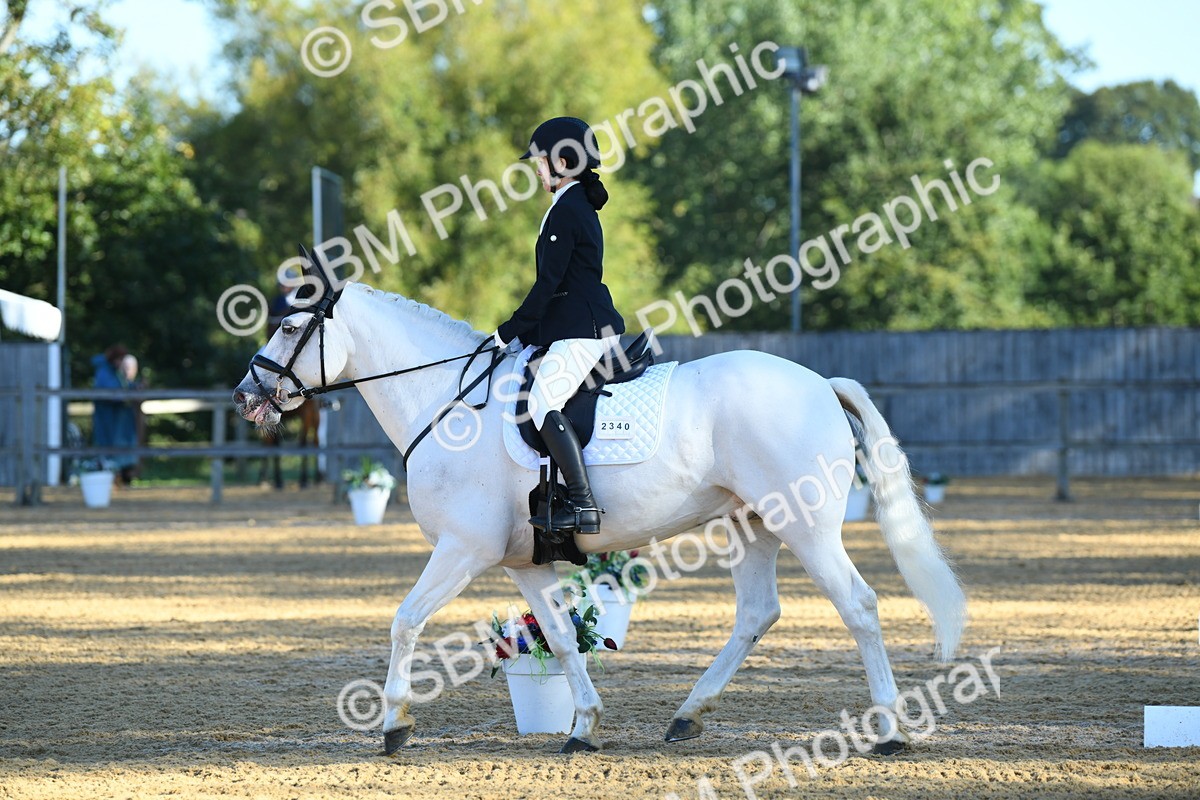 SBM_16115 - D4 - Small Tour Championship - Intro B
