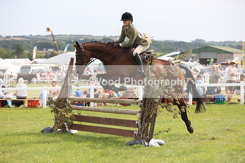 JPP_4073 - Class 24: Working Hunter 90cm