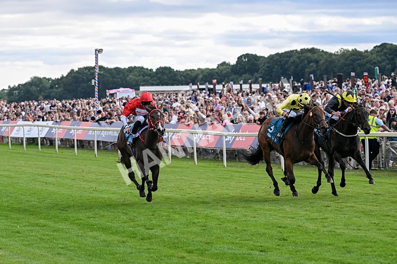250726-Race 5-Rogue Jewel-7559 - Race 5 15.42pm Sky Bet Price Boosts EBF Fillies' Novice Stakes