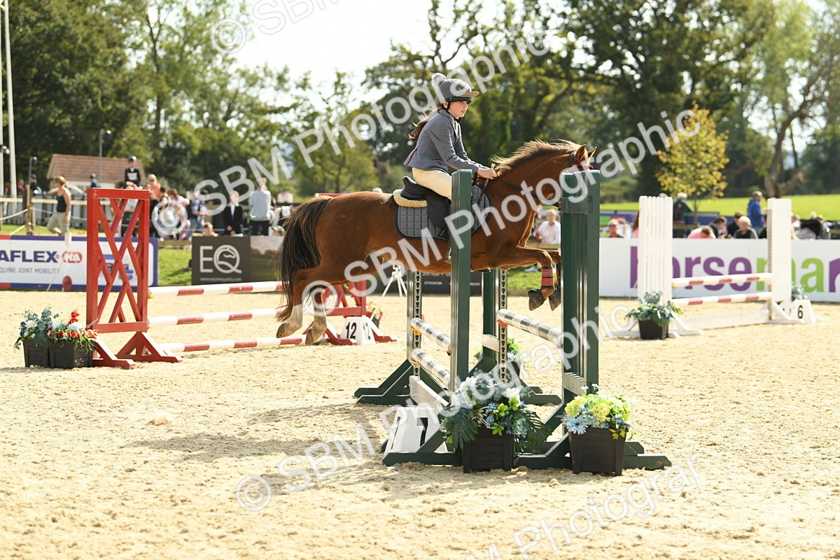 SBM_69081 - J15 - Junior Pony 70cm Championship