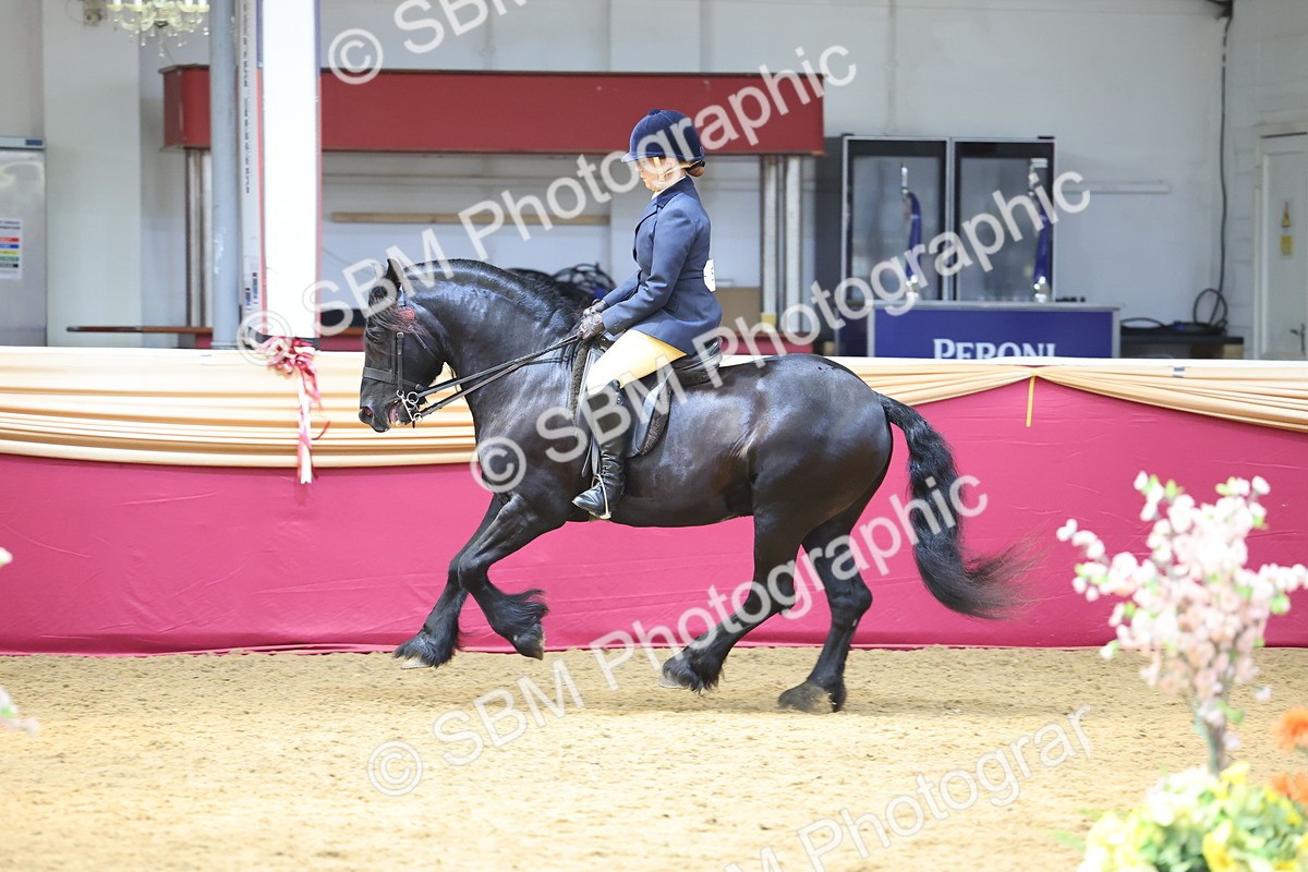 SBM_23991 - Class 905 - Supreme Final - Ridden Veteran