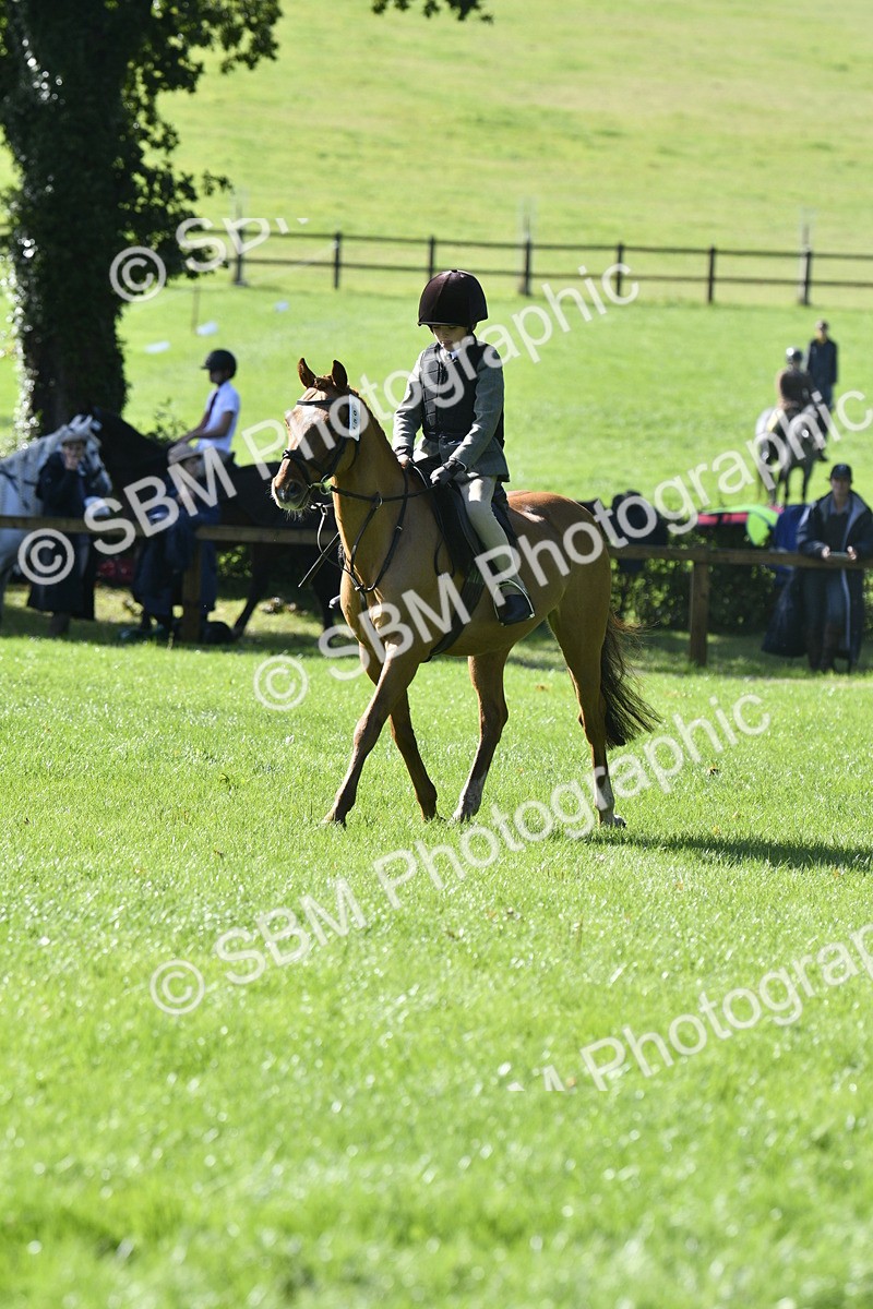 SBM_38170 - S31 - Novice & Newcomer Working Hunter Pony