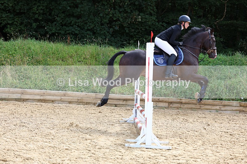 3E7A0245 - Class 9: Senior British Novice/90cm open