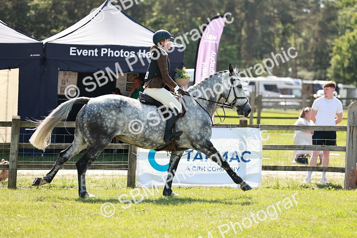 SBM_18387 - Class 112-113 - BSPS LIHS Working Sports Pony