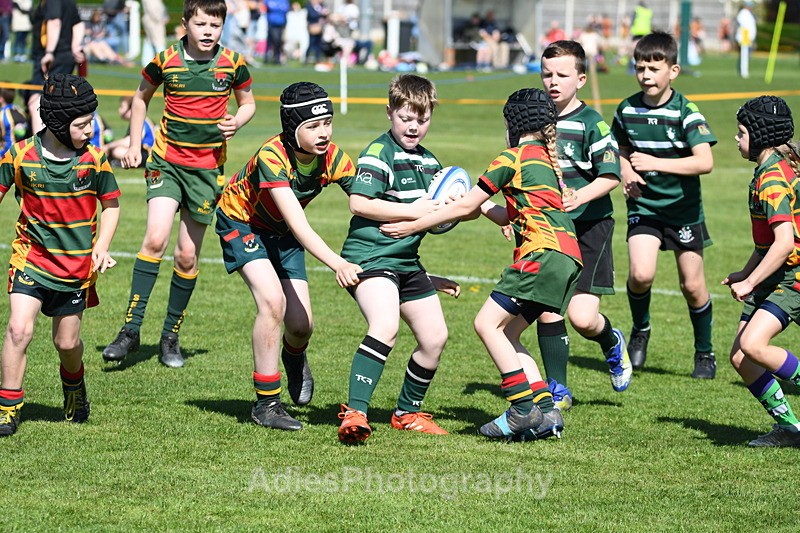  - Selby Rugby Festival 2025