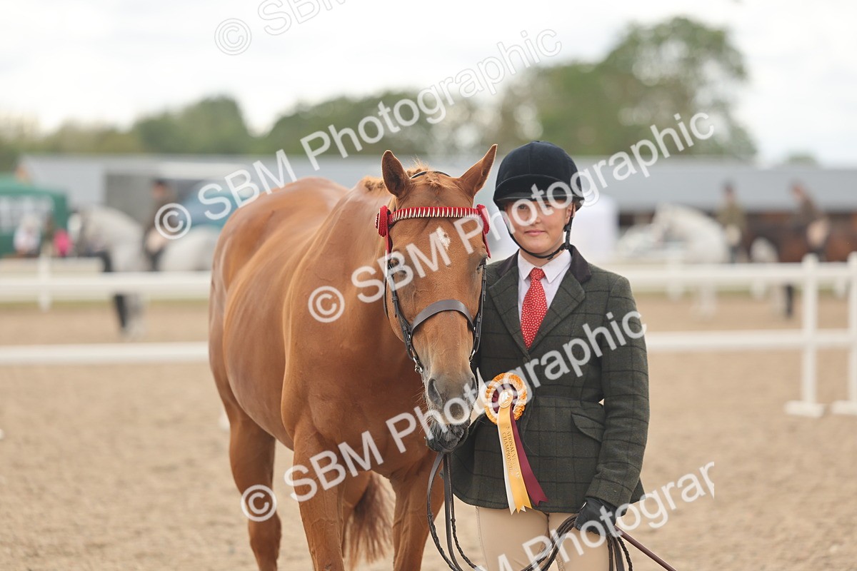 SBM_17157 - Class 313 - IH Retired Racehorse