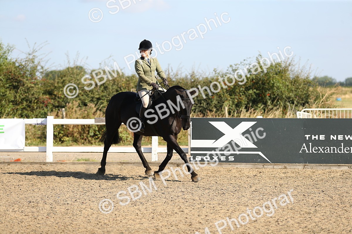 SBM_02262 - Class 43 Ridden Competition Horse/Pony