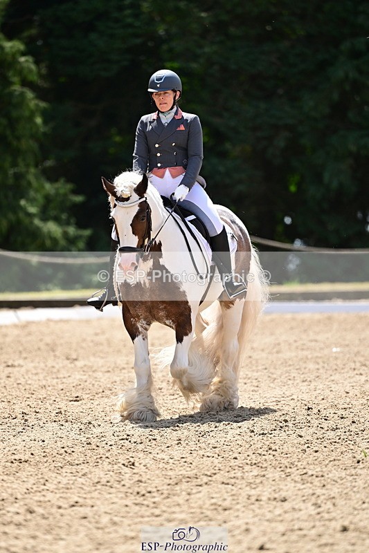 260802A-123202-06252 - Novice Silver break- end