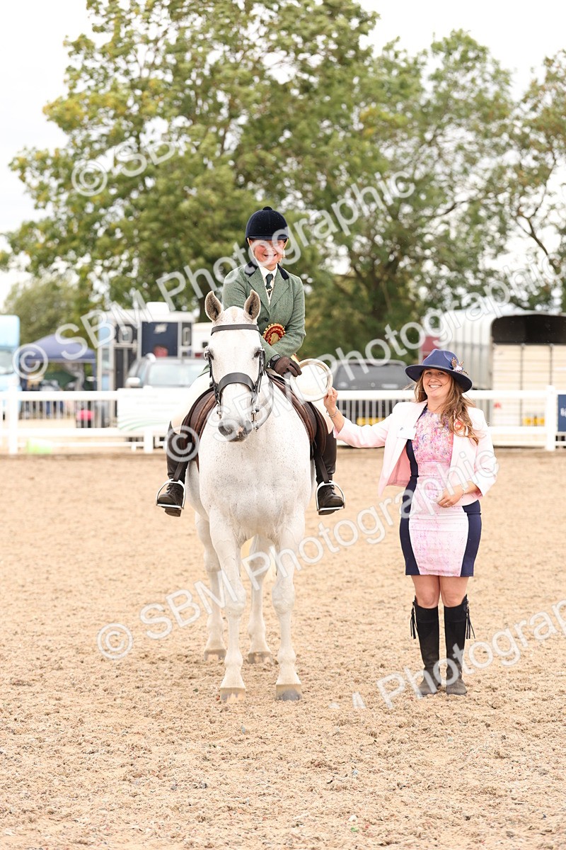 SBM_19598 - Class 215 - Ridden Show cob