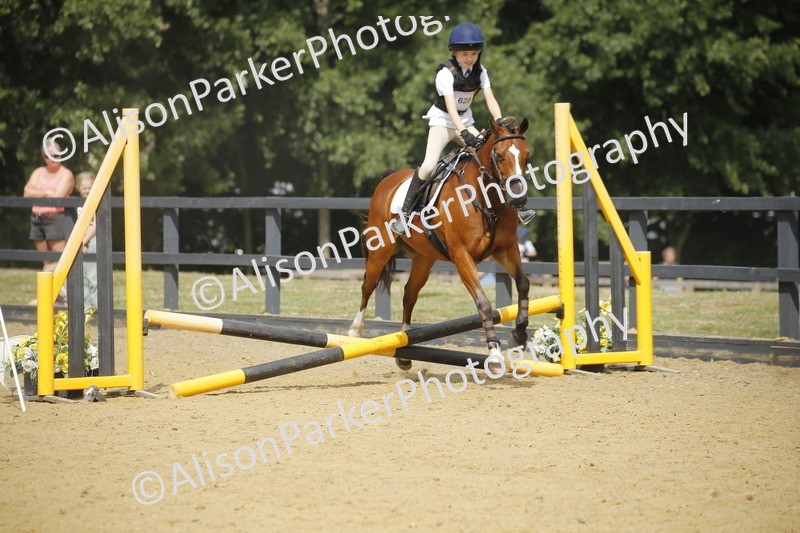 20250622-3816 - 50cm