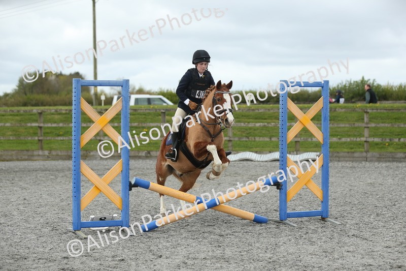 20260412-0614 - Show Jumping