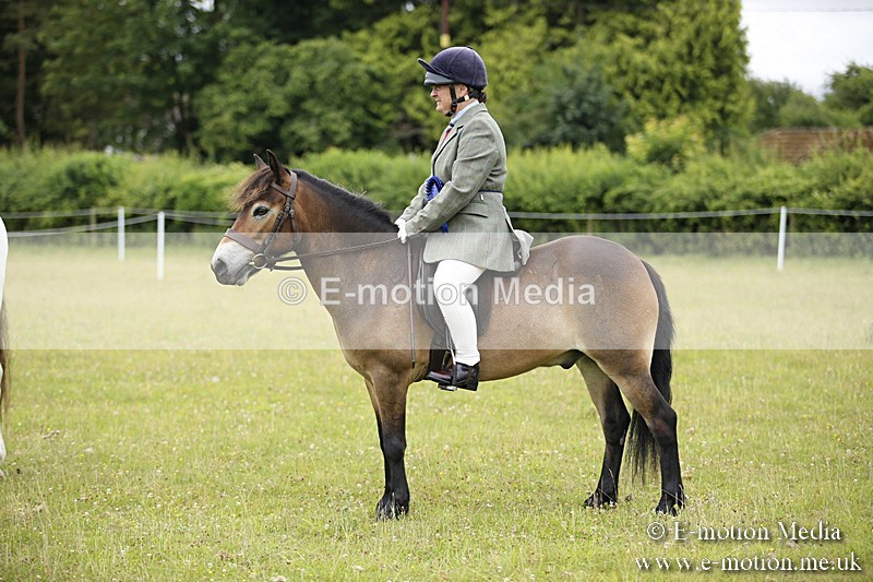 BVR160717-81 - Ring 1 BVRC Show 16/07/17