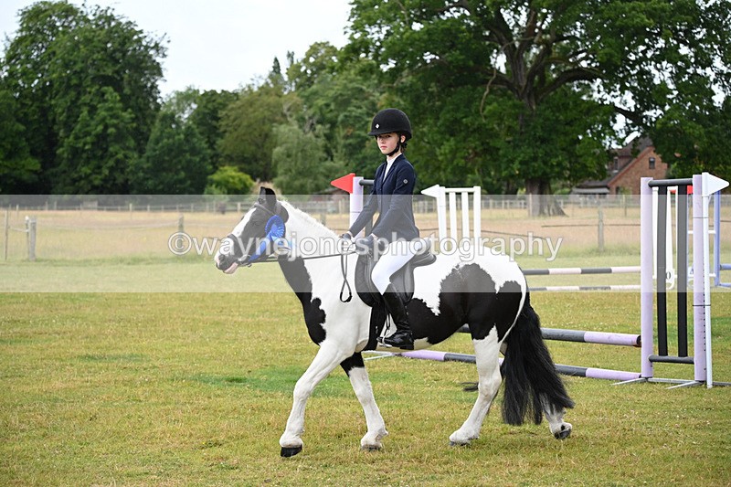 WJ6_8646 - Class 9 Tack & Turned out