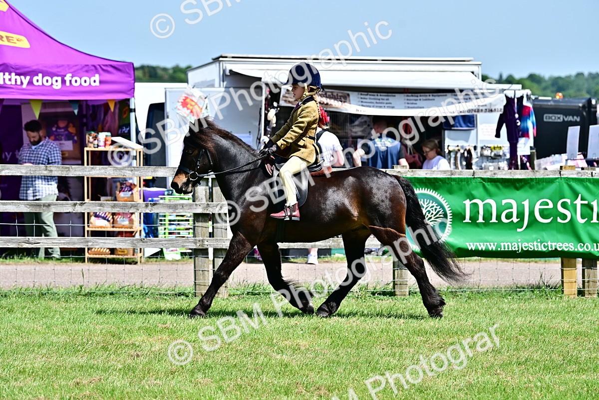 SBM_06041 - Class 59-60 - TSR M&M  Lear Rein and First Ridden Amateur of the year