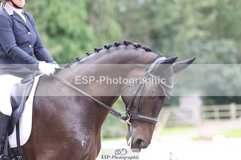 230813-102034-06261 - Cls 11 Elem Bronze Start to 10.50 break