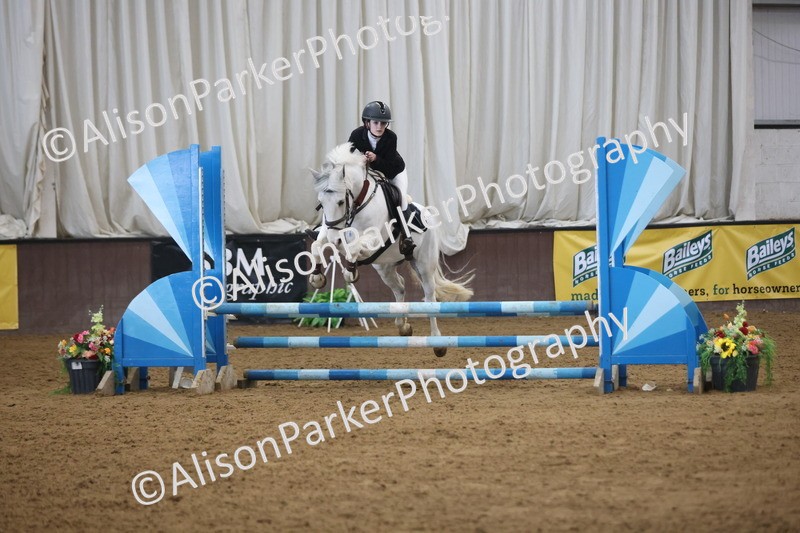 20260314-3821 - 80cm