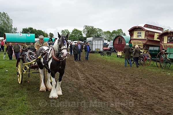  - Appleby Horse Fair