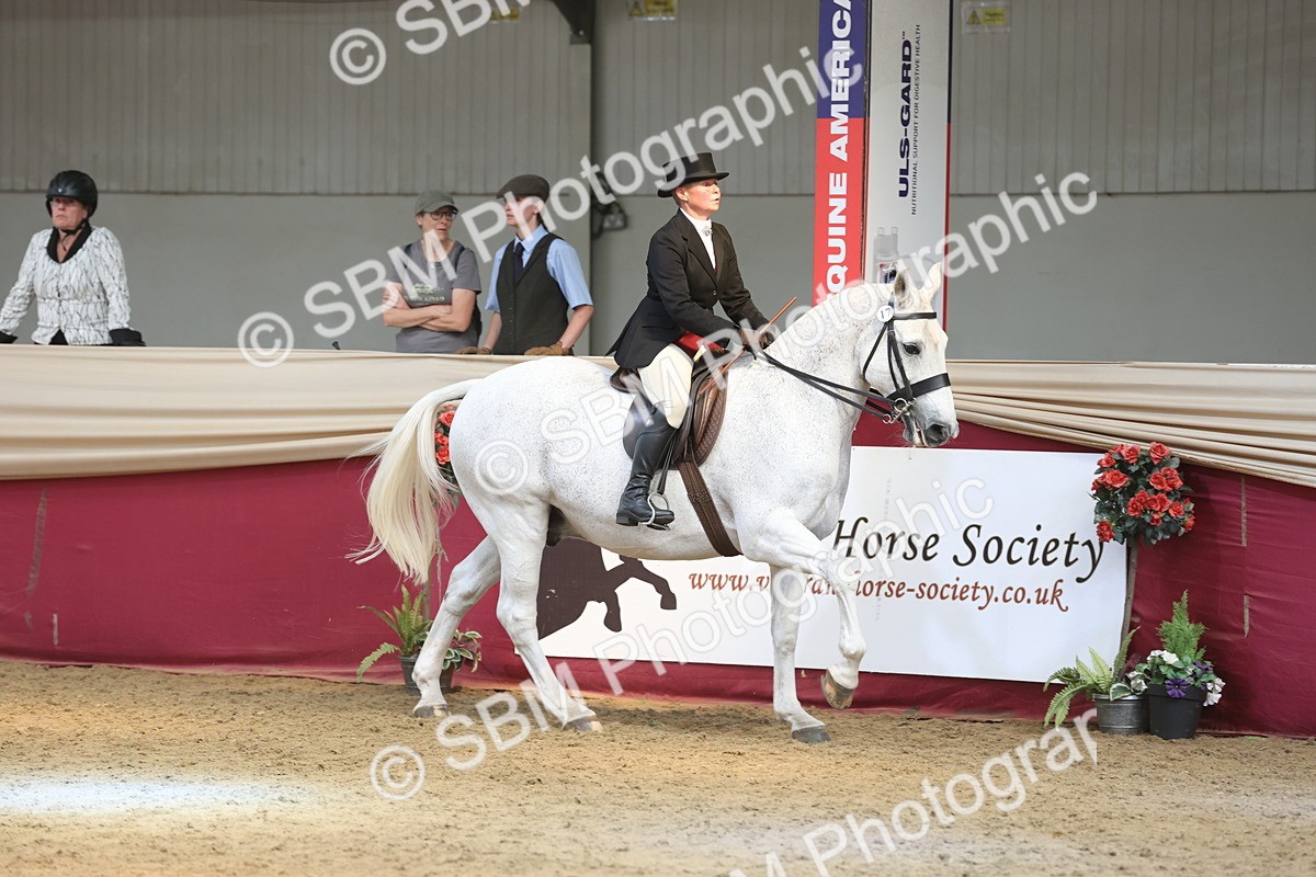 SBM_23756 - class 906 - Supreme Final - Ridden Pre Vet