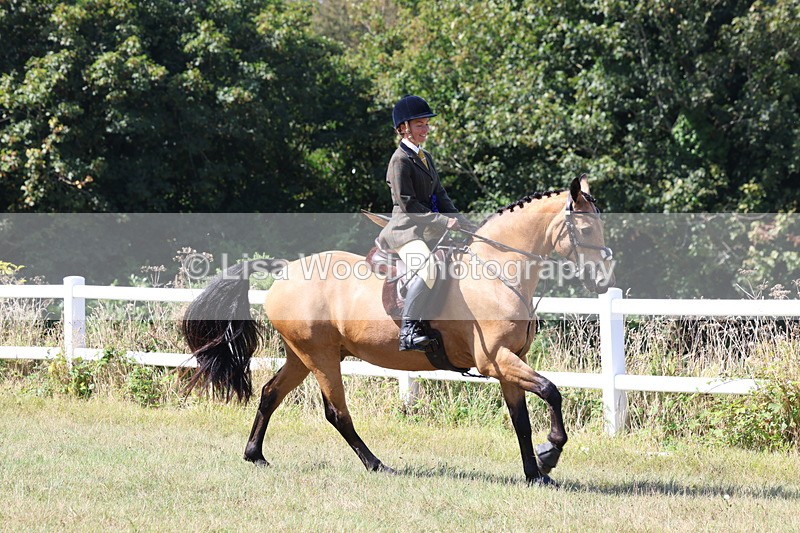 3E7A6382 - Working Hunter Championship
