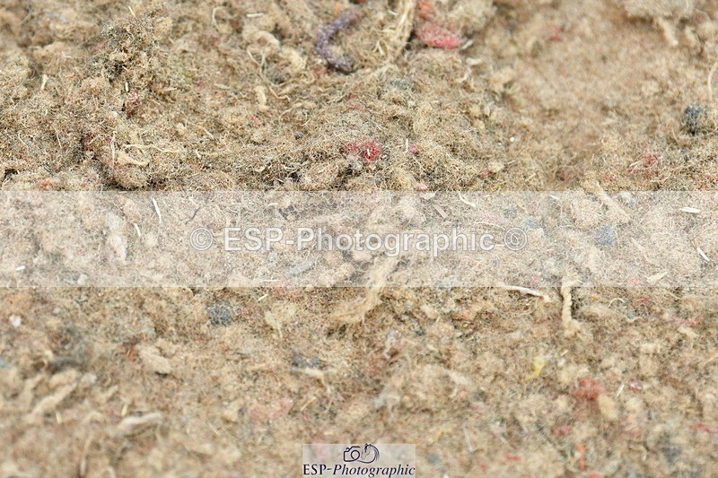 230611A-131101-05790 - Cls 26 Discovery 2nd R Jump Off's and Presentations