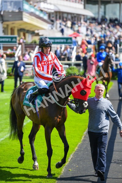 150723-Race 3-Astro King-0274 - Race 3 3.10pm John Smith's Cup Handicap