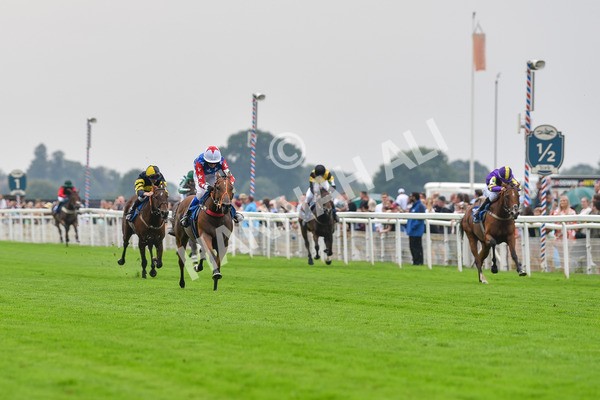 100923-Pony Race 1-Seal The Deal-1536 - Pony Race 1 12.25 The Dragon (TV and Film) Studios Pony Race 148cm & Under