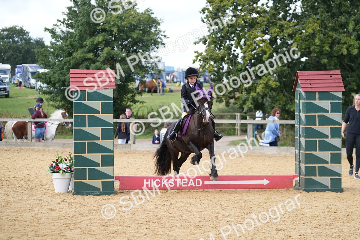 SBM_64484 - J2 - Mini Tour Junior Pony 30cm Championship