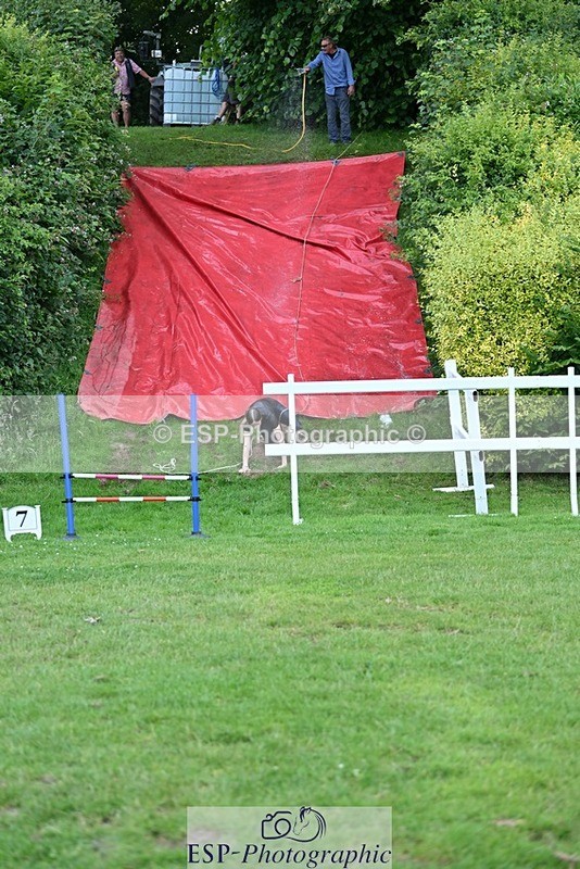 240711-192745-31235 - Cls 210 Jolly Jumps Run and Run