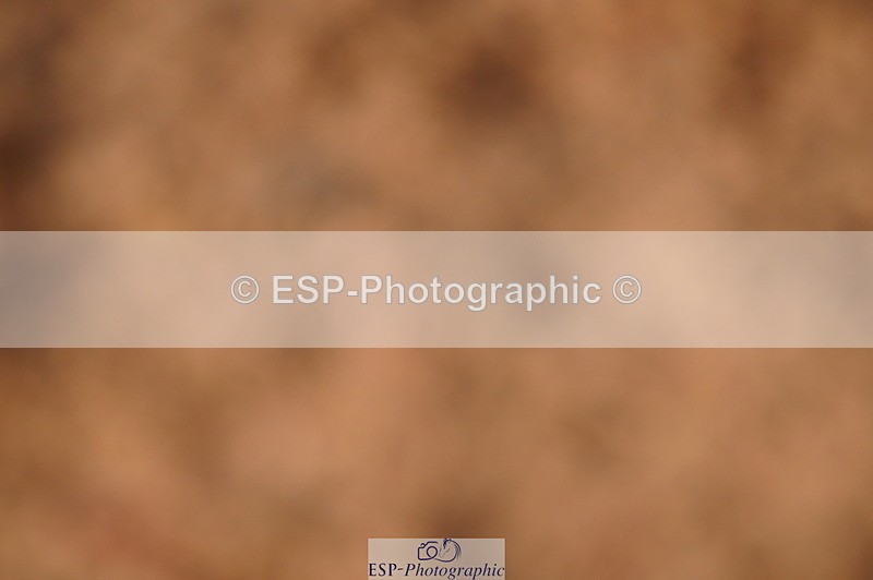 240628A-185042-00879 - Cls 3 1m Open