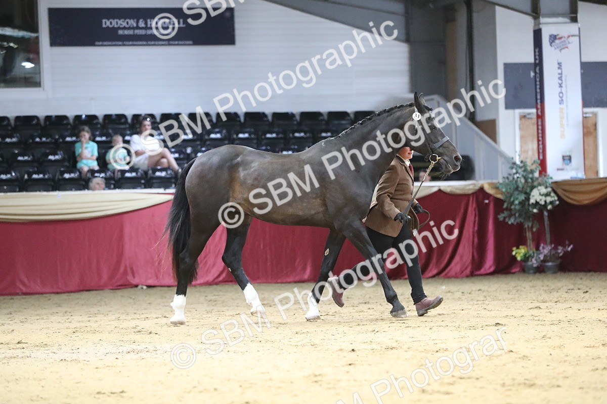 SBM_04399 - Class 7R Regional - IH Diamond