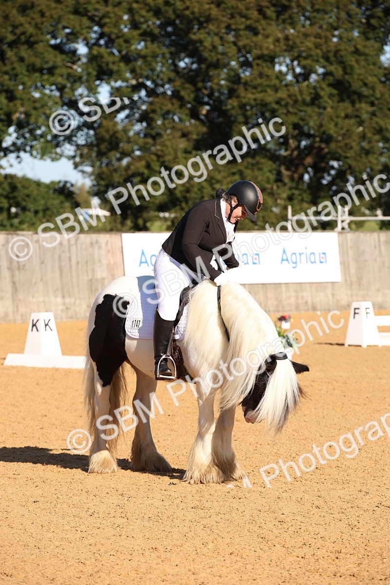 SBM_01870 - D2 Small Tour Championship Intro C