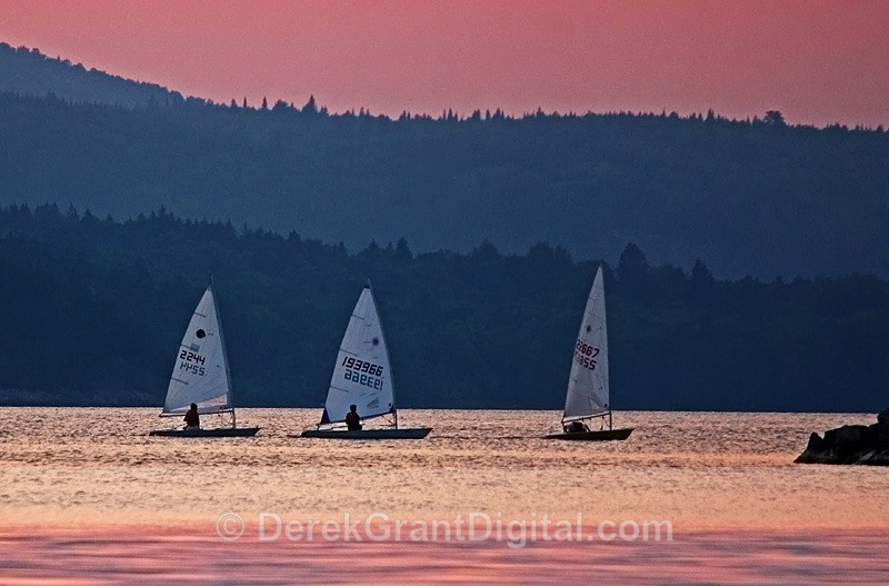 Sailboats @ Twilight - Boats