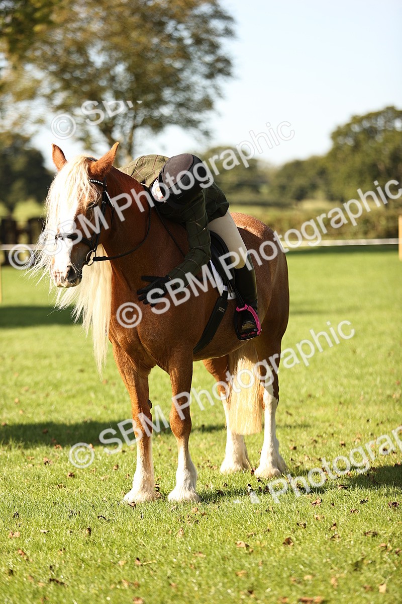 SBM_17005 - S2 - TSR Ridden Pony Showing