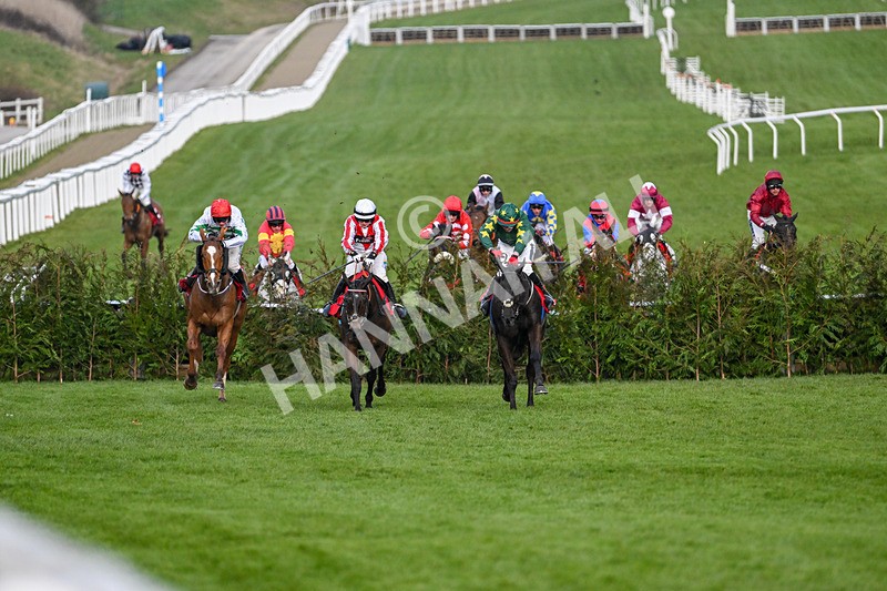 120325-Race 4-Stumptown-6972 - 12th March