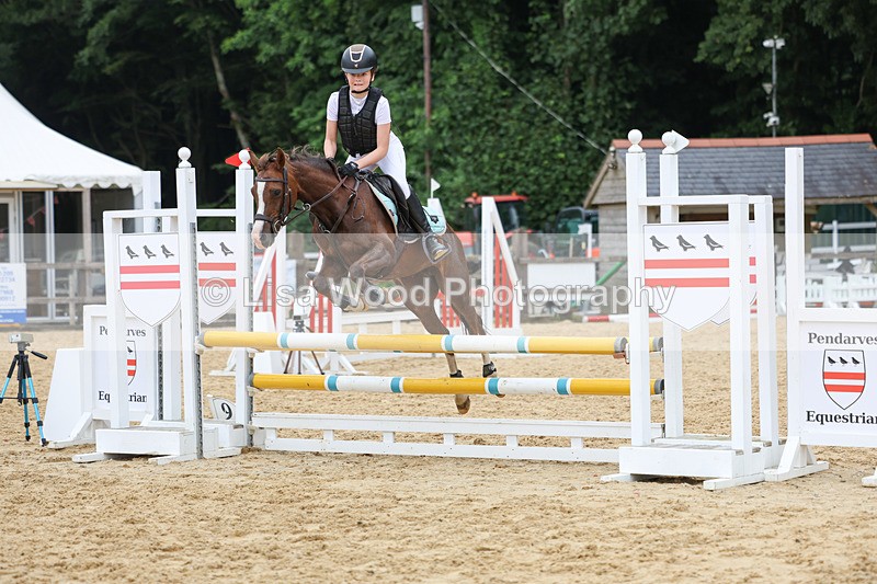 3E7A6812 - Class 13: Pony British Noise/80cm open