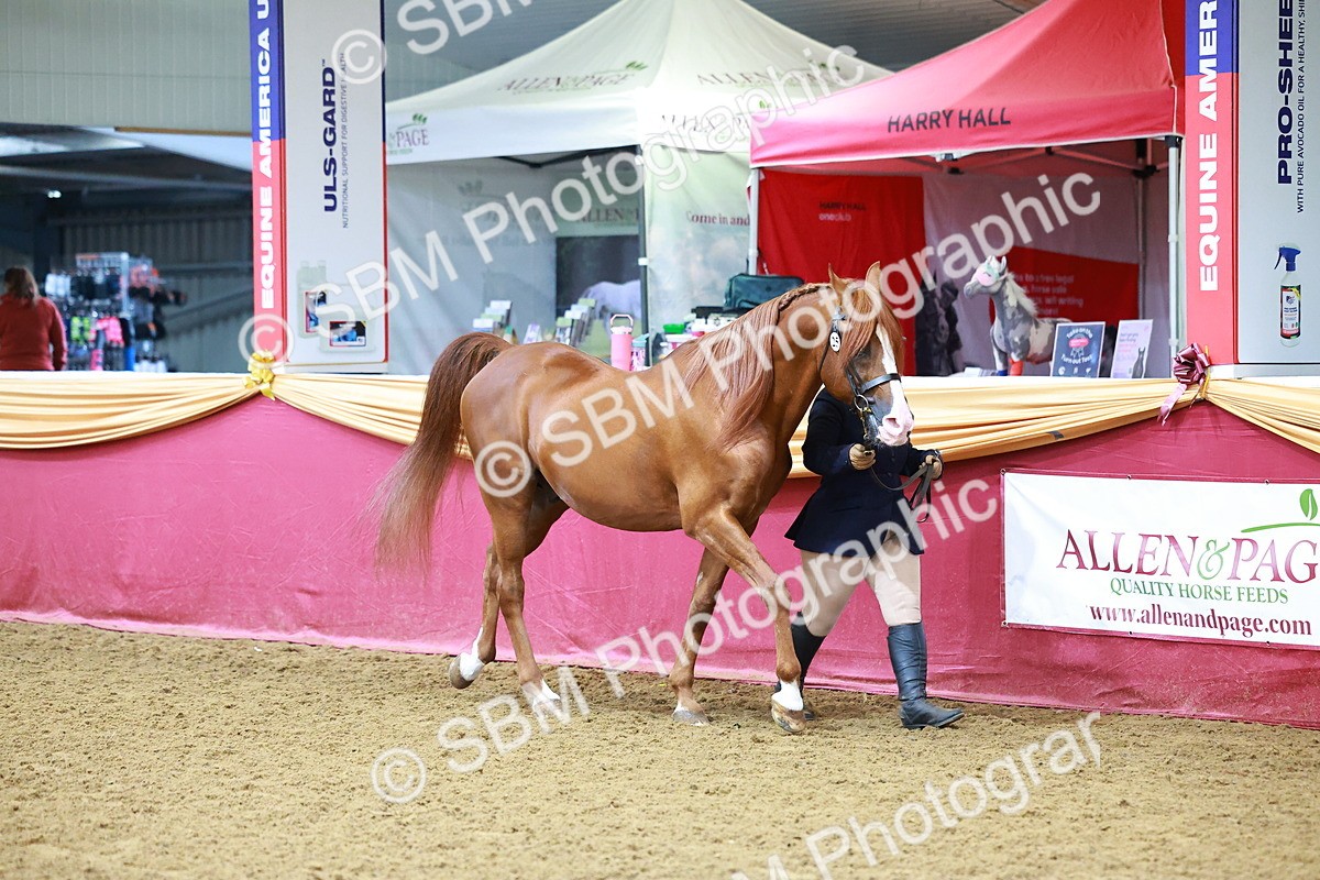 SBM_16117 - Class 901 - Sup Final - IH Diamond