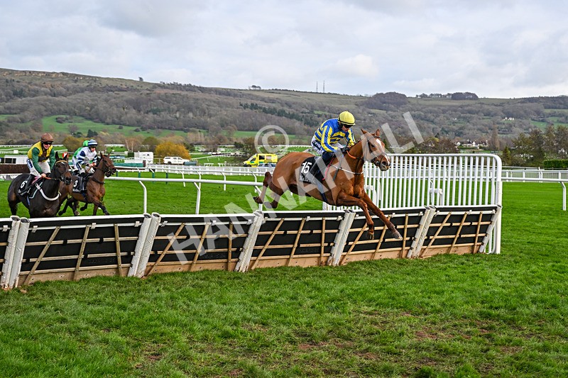 161125-Race 1-Astelia-5565 - Race 1