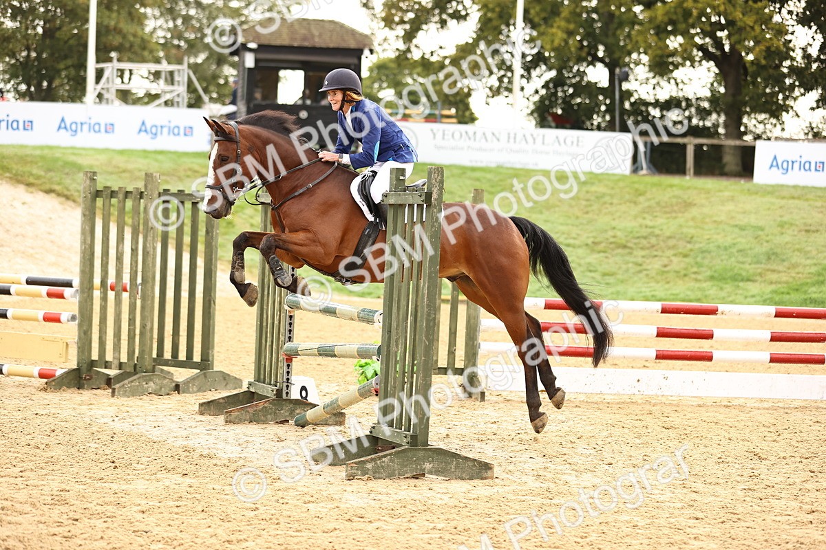 SBM_58239 - J41 - Grand Tour Horse & Pony 95cm