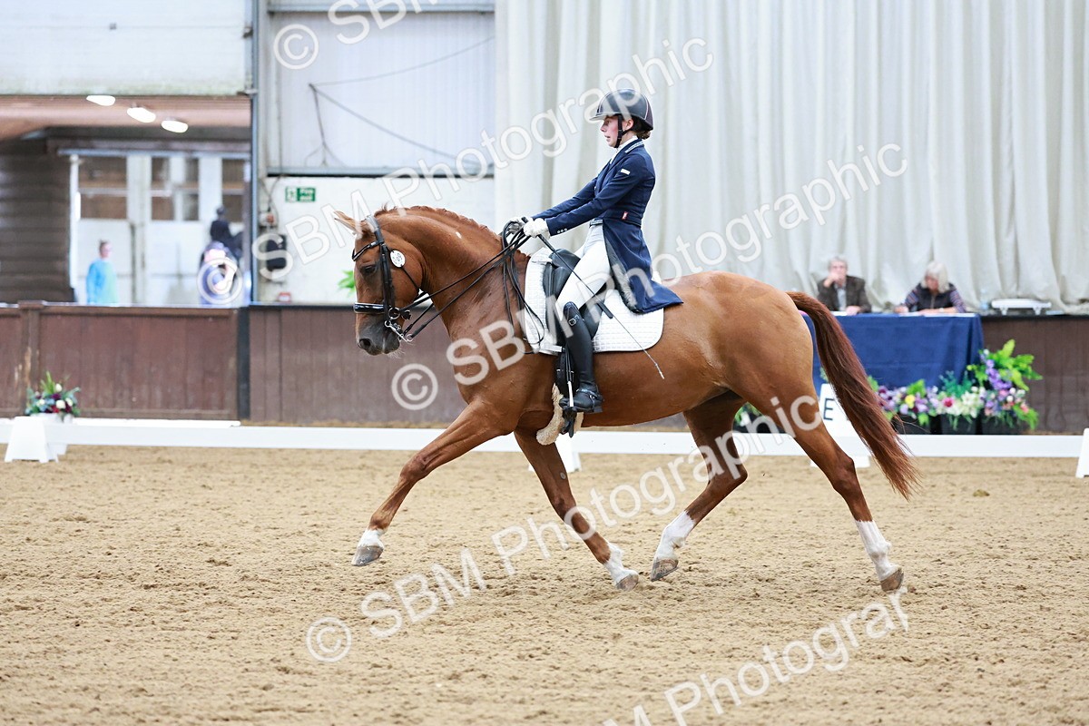 SBM_013574 - Class 3 - FEI PSG - 12.03-13.07