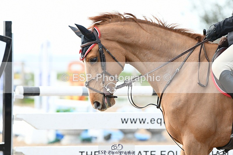 250328-121015-00900 - Cls 3 Snr Foxhunter