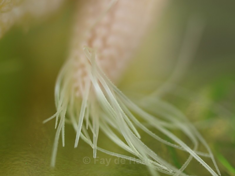  - Nature's Wonders