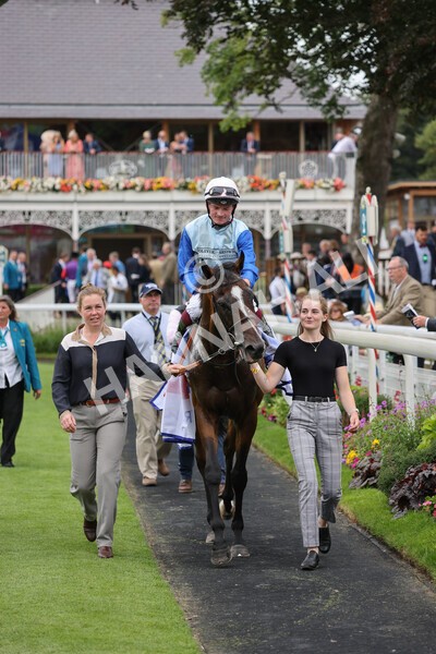 yr20082021r1-21 - Race 1 1.50pm Sky Bet Stakes