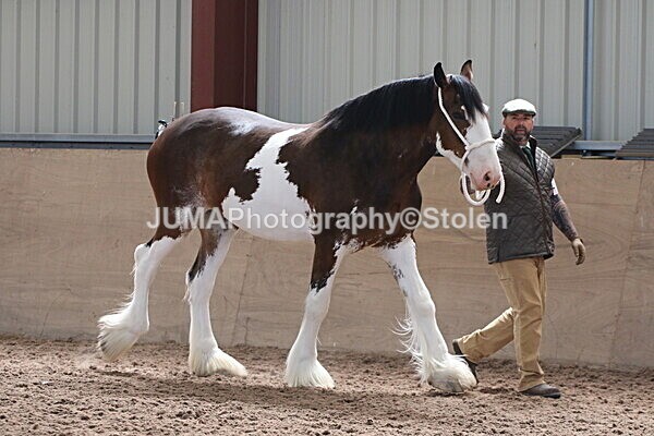 SIAL0288 - Indoor Classes