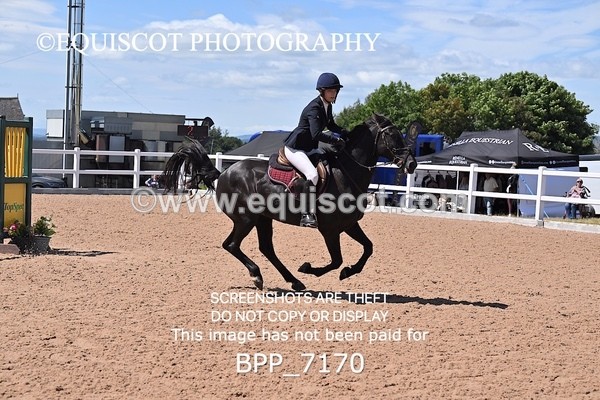 BPP_7170 - CLASS 14 FRI Nupafeeds Senior Dicovery/1m open