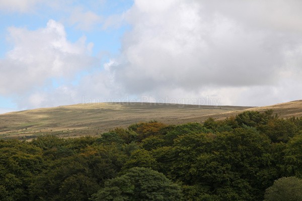 Dartmoor _ DR 27 - Dartmoor, Devon