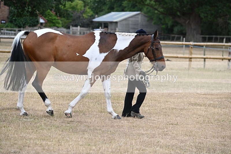 WJ6_7891 - Class 10 Coloured in Hand