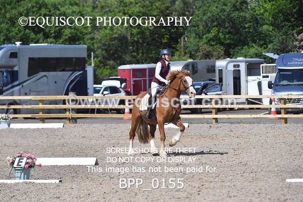 BPP_0155 - SHORT ARENA  MY QUEST PRELIM