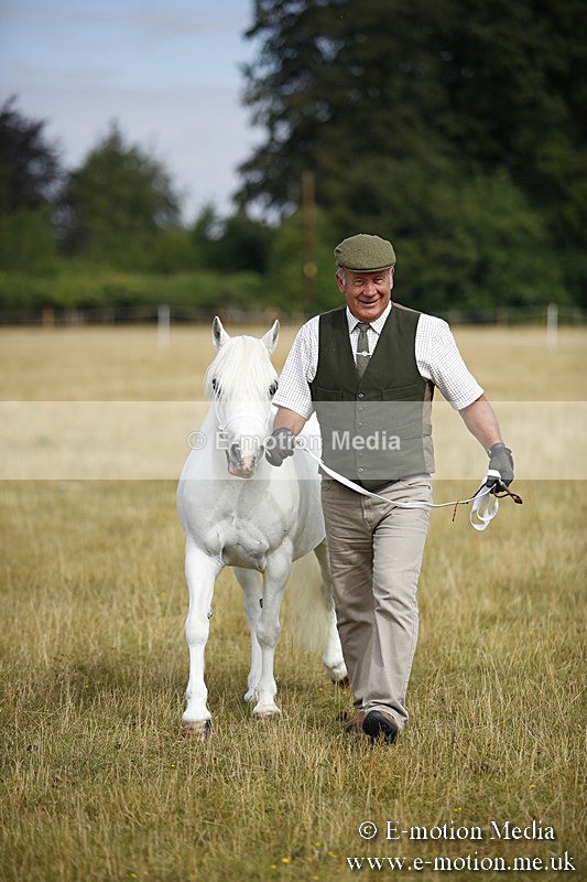 _C7A9168 - BVRC Sow 2018 Ring 2