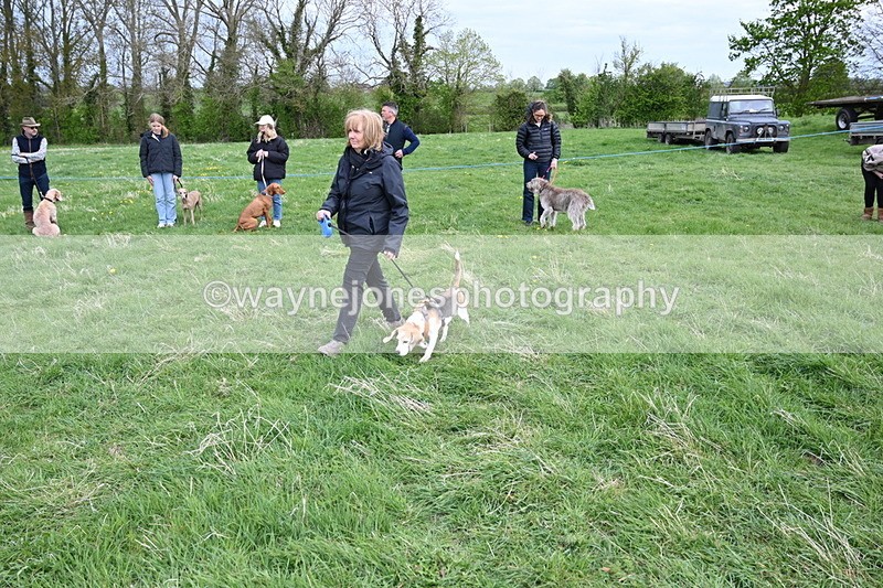 WJ6_8143 - Class 2 Best Pedigree