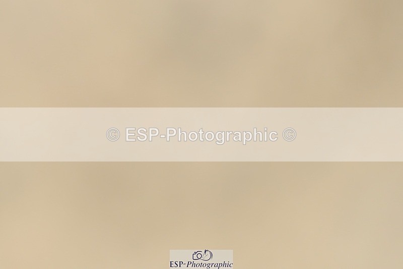 230623-140833-00924 - Cls 5 Elementary 43